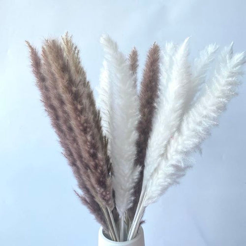 15Pcs/Lot White Pampas Grass Artificial Natural Dried Flower Bouquet